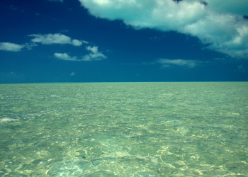Море на острове Андрос, Багамские острова. Фото 1 – фотографии Багамских островов