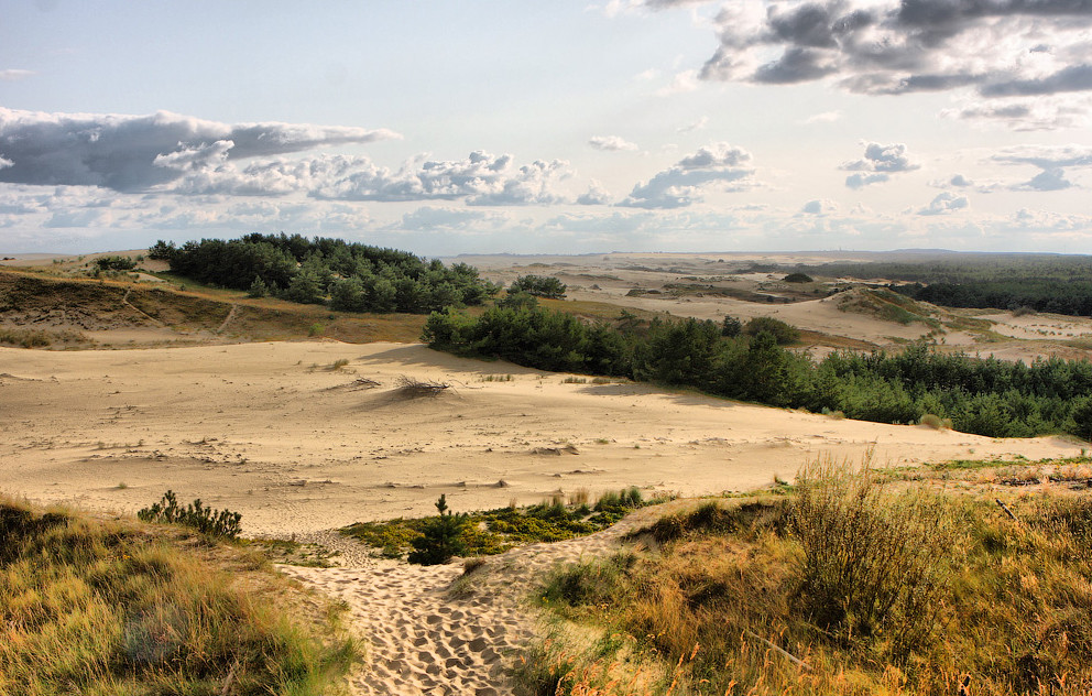 Куршская коса, Балтика, Россия. Фото 1 – фотографии России
