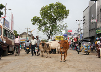 Город Джафна – фотографии Шри-Ланки