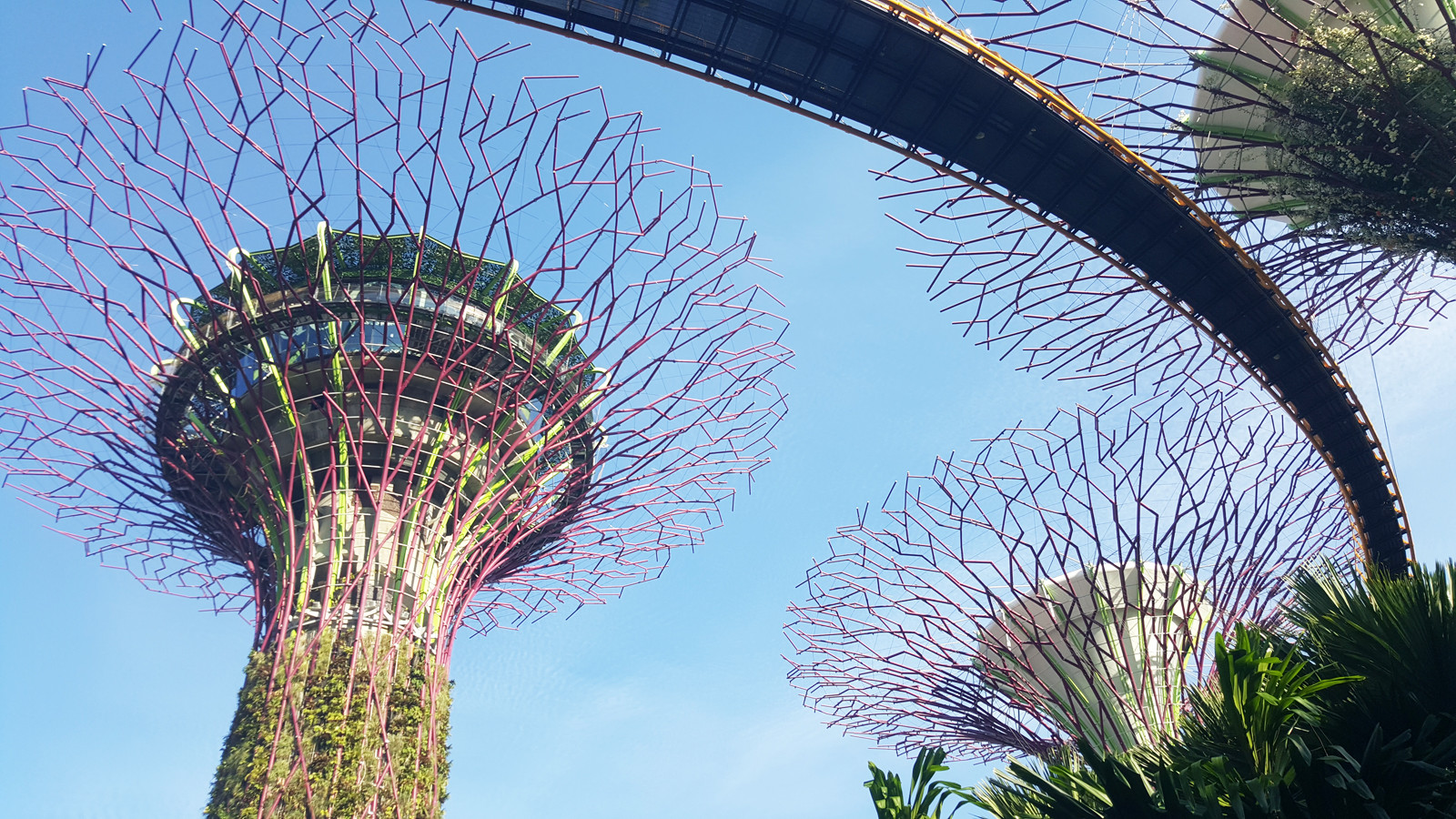 Парк Gardens by the Bay у отеля Marina Sand Bay – фотографии Сингапура