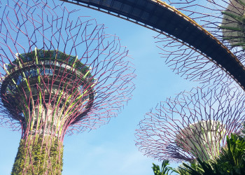 Парк Gardens by the Bay у отеля Marina Sand Bay – фотографии Сингапура