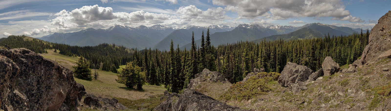 Олимпик (национальный парк). США. Фото 9 – фотографии США