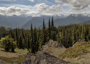 Олимпик (национальный парк). США. Фото 9 – фотографии США