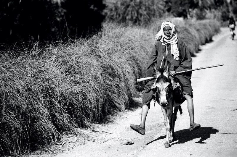 Луксор, Египет, фото № 35292 – фотографии Египта