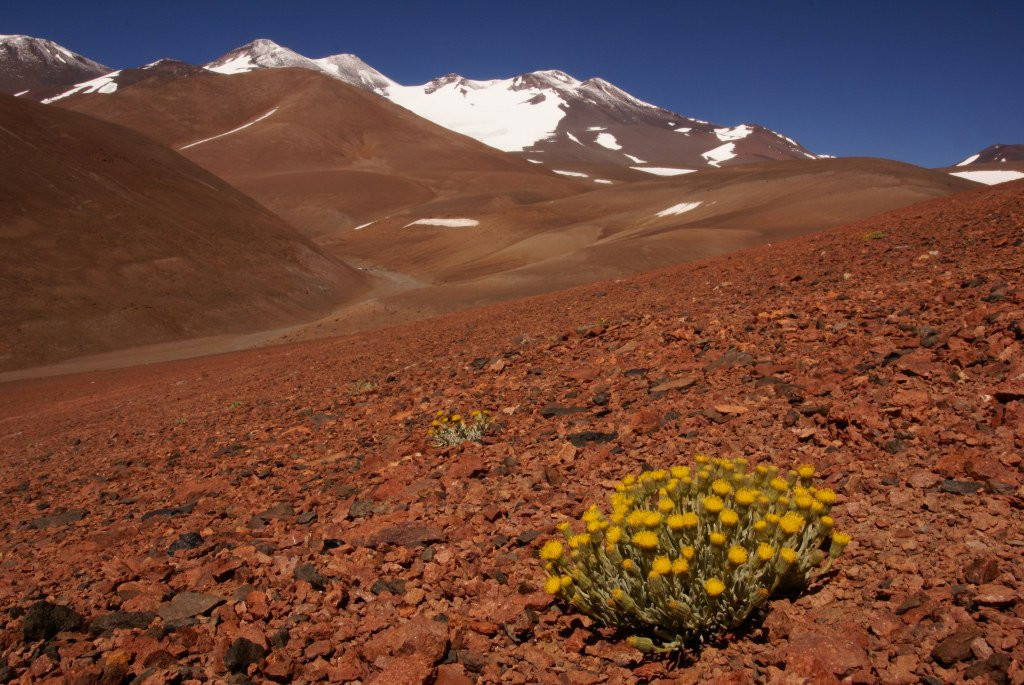 Провинция Сальта в Аргентине – фотографии Аргентины
