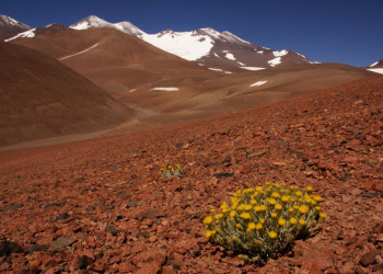 Провинция Сальта в Аргентине – фотографии Аргентины
