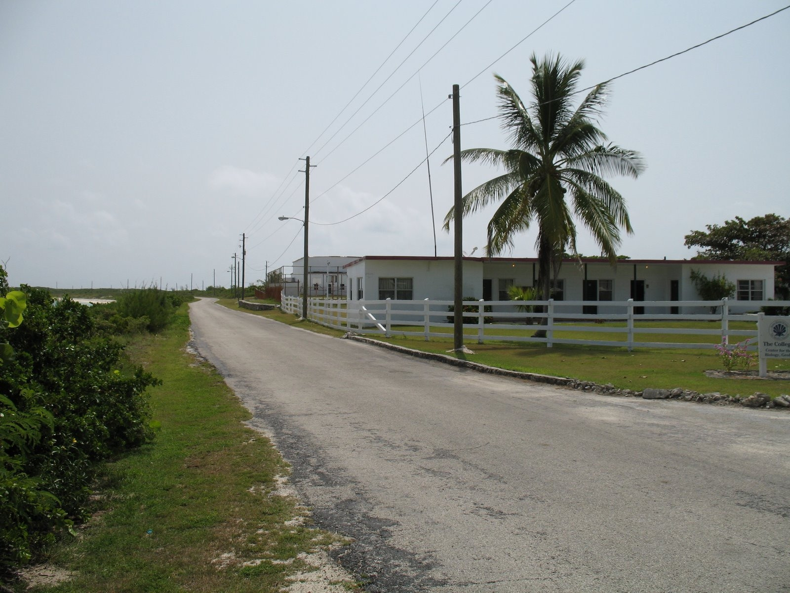 Дорога на острове Сан-Сальвадор, Багамские острова. Фото 1 – фотографии Багамских островов
