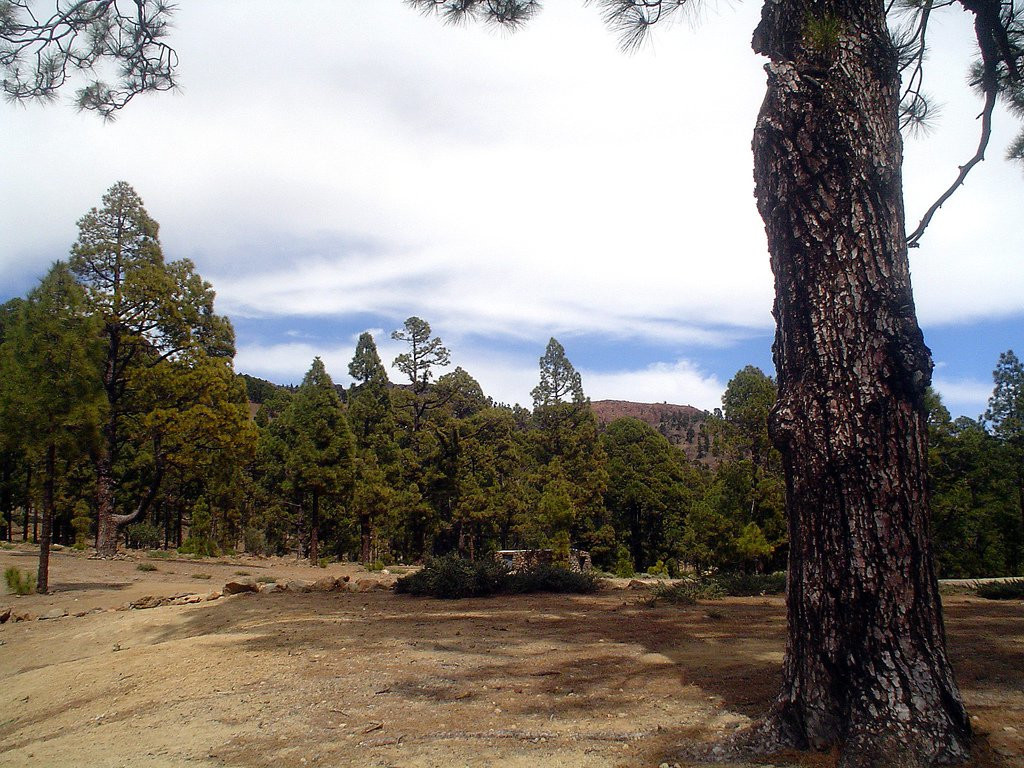 Вилафлор, Тенерифе остров, Канарские острова, фото № 32970 – фотографии Канарских островов