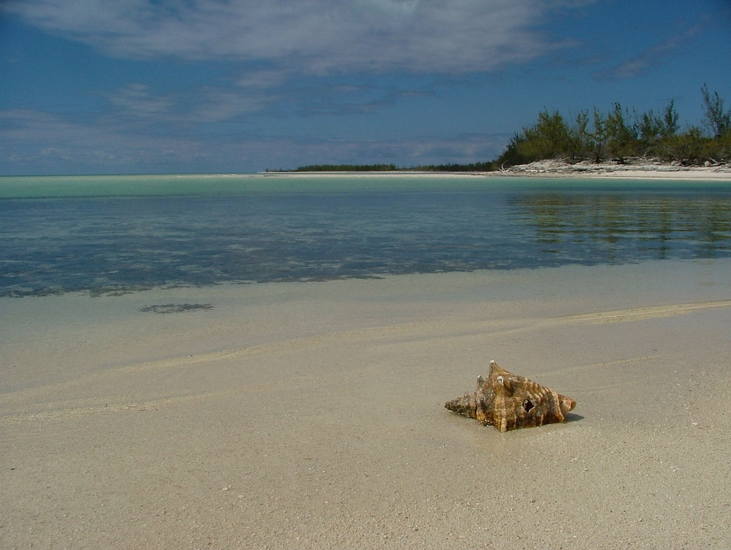 Пляж в Кэт Айленд, Багамские острова. Фото 2 – фотографии Багамских островов