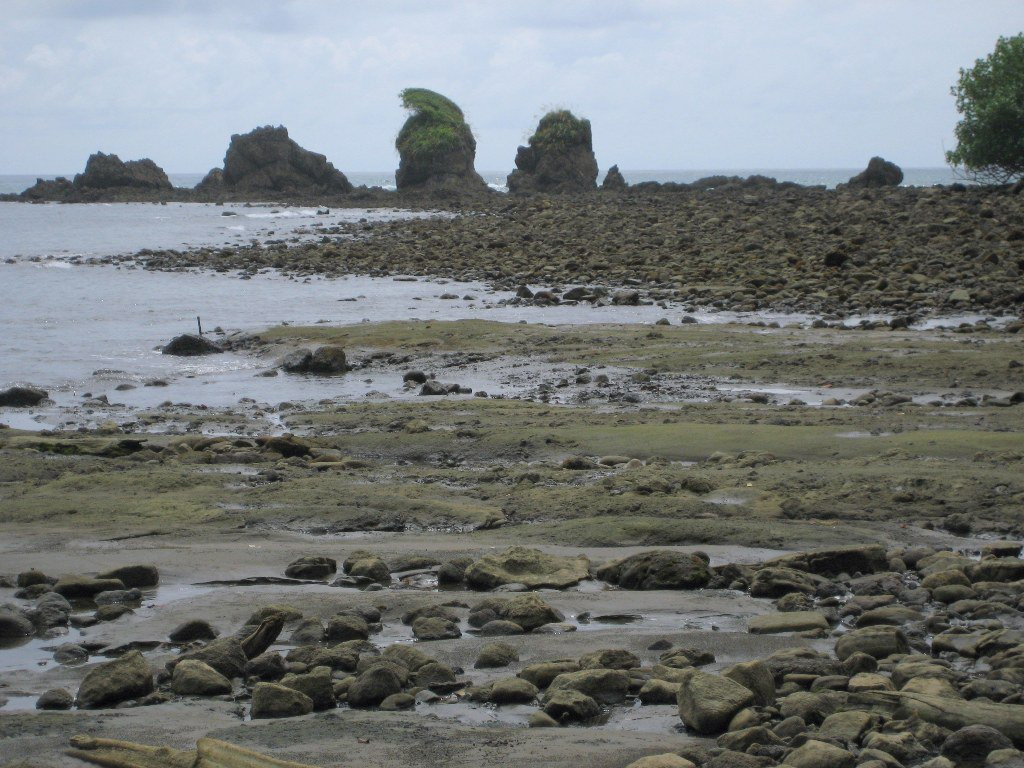 Корковадо Национальный Парк, Пунтаренас провинция, Коста-Рика, фото № 40513 – фотографии Коста-Рики