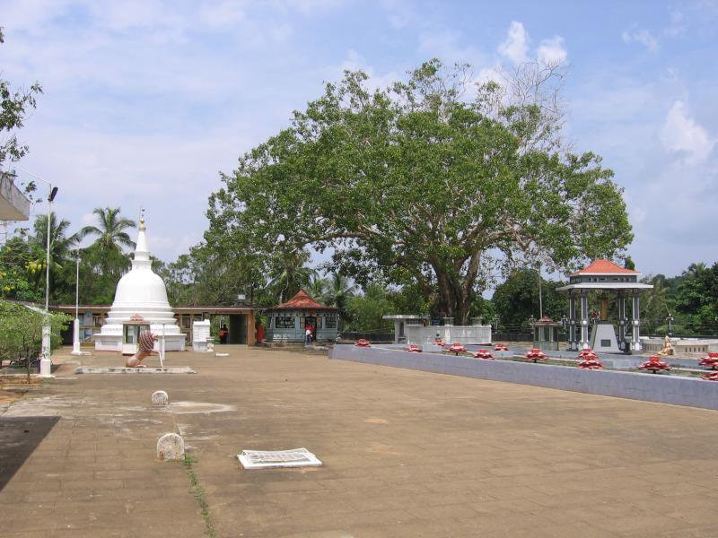 Матара, Шри-Ланка, фото № 51733 – фотографии Шри-Ланки