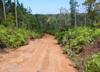 Дороги в Белизе – фотографии Белиза