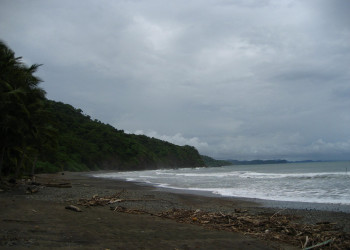 Ислита, Гуанакасте провинция, Коста-Рика, фото № 39381 – фотографии Коста-Рики