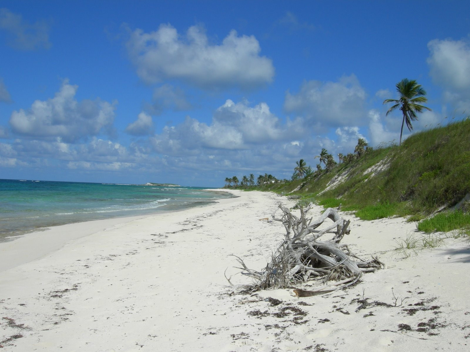 Пляж в Эльютера, Багамские острова. Фото 17 – фотографии Багамских островов