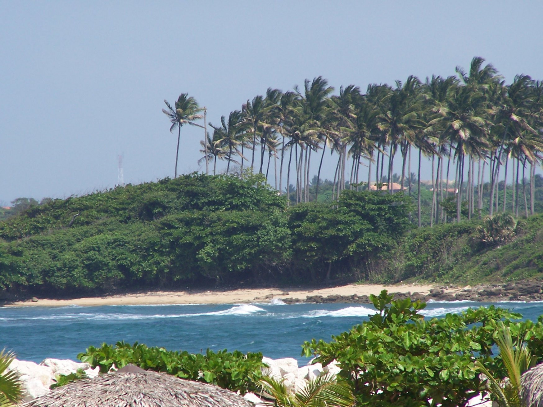 Сосуа, Доминикана, фото № 30684 – фотографии Доминиканы