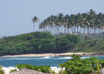 Сосуа, Доминикана, фото № 30684 – фотографии Доминиканы