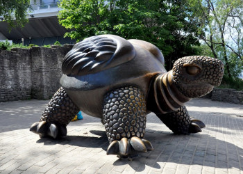 Черепашка в Юрмале – фотографии Латвии