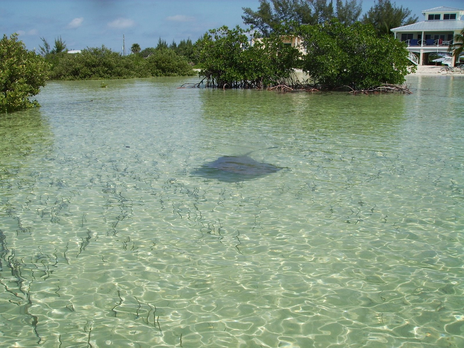 Остров Бимини, Багамские острова – фотографии Багамских островов