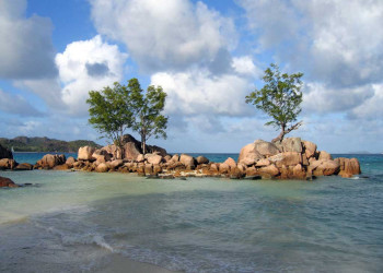 Остров Праслин, Сейшелы. Фото 34 – фотографии Сейшельских островов