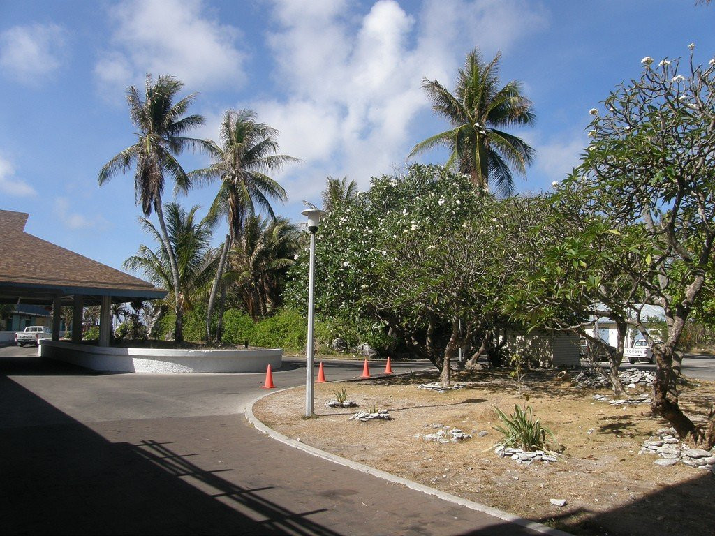 Цветущий сад. Остров Науру – фотографии Науру