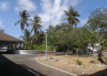Цветущий сад. Остров Науру – фотографии Науру