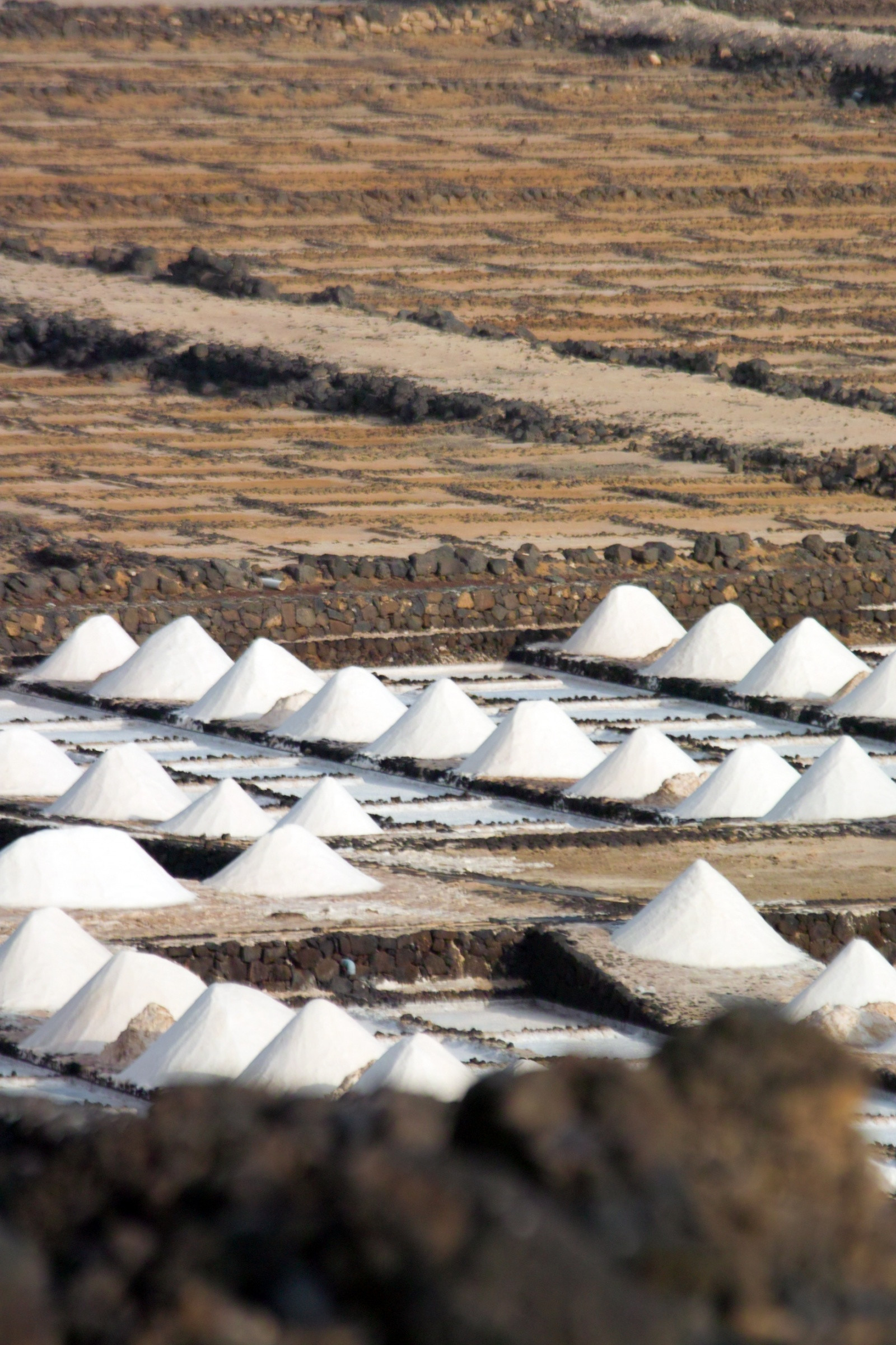 Салинас-де-Ханубио (Salinas de Janubio) – фотографии Канарских островов