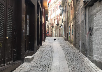 Узкие тёмные улочки старого Порту – фотографии Португалии