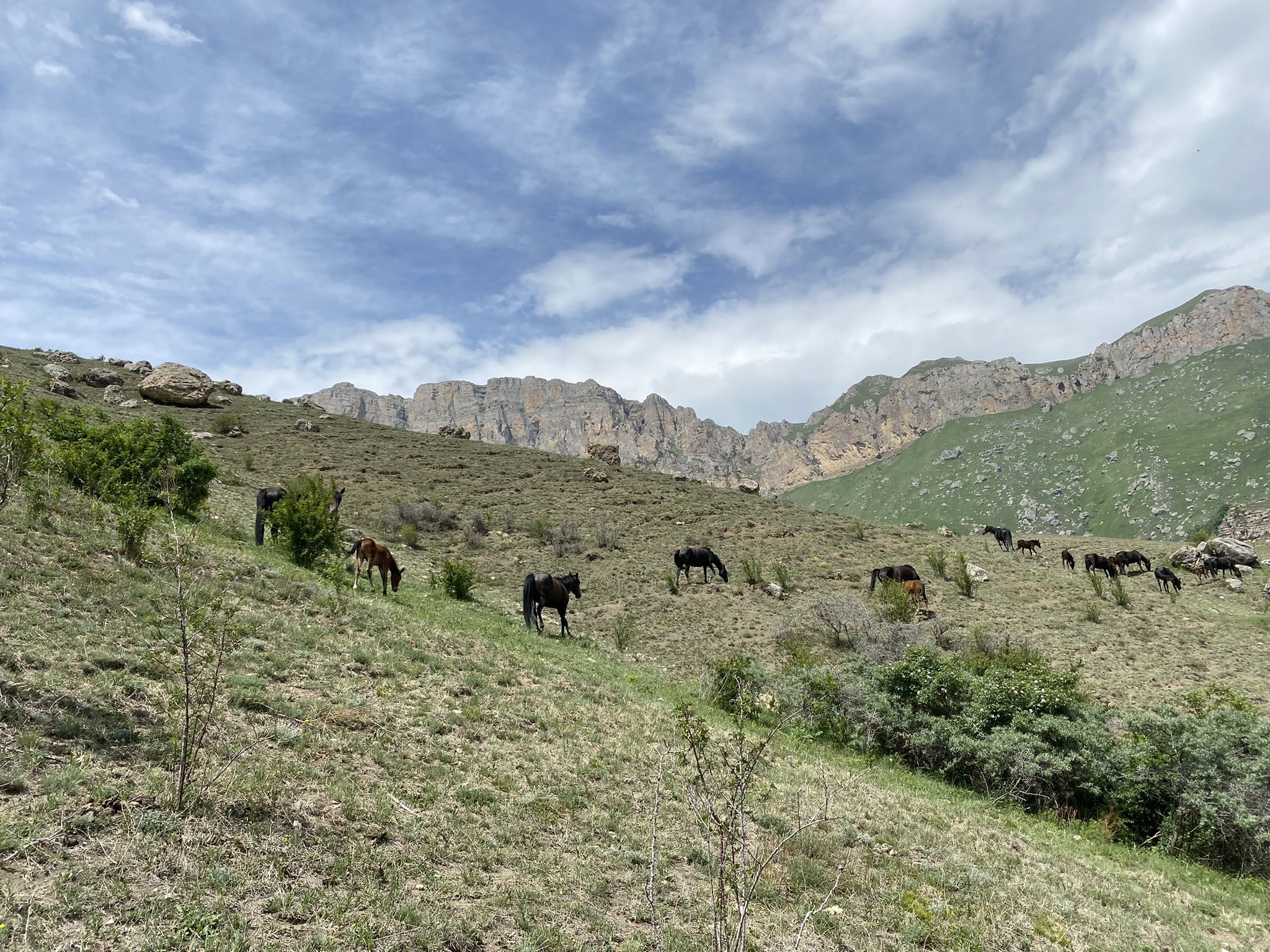 Поездка на перевал Актопрак, июнь – фотографии России