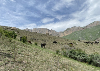 Поездка на перевал Актопрак, июнь – фотографии России