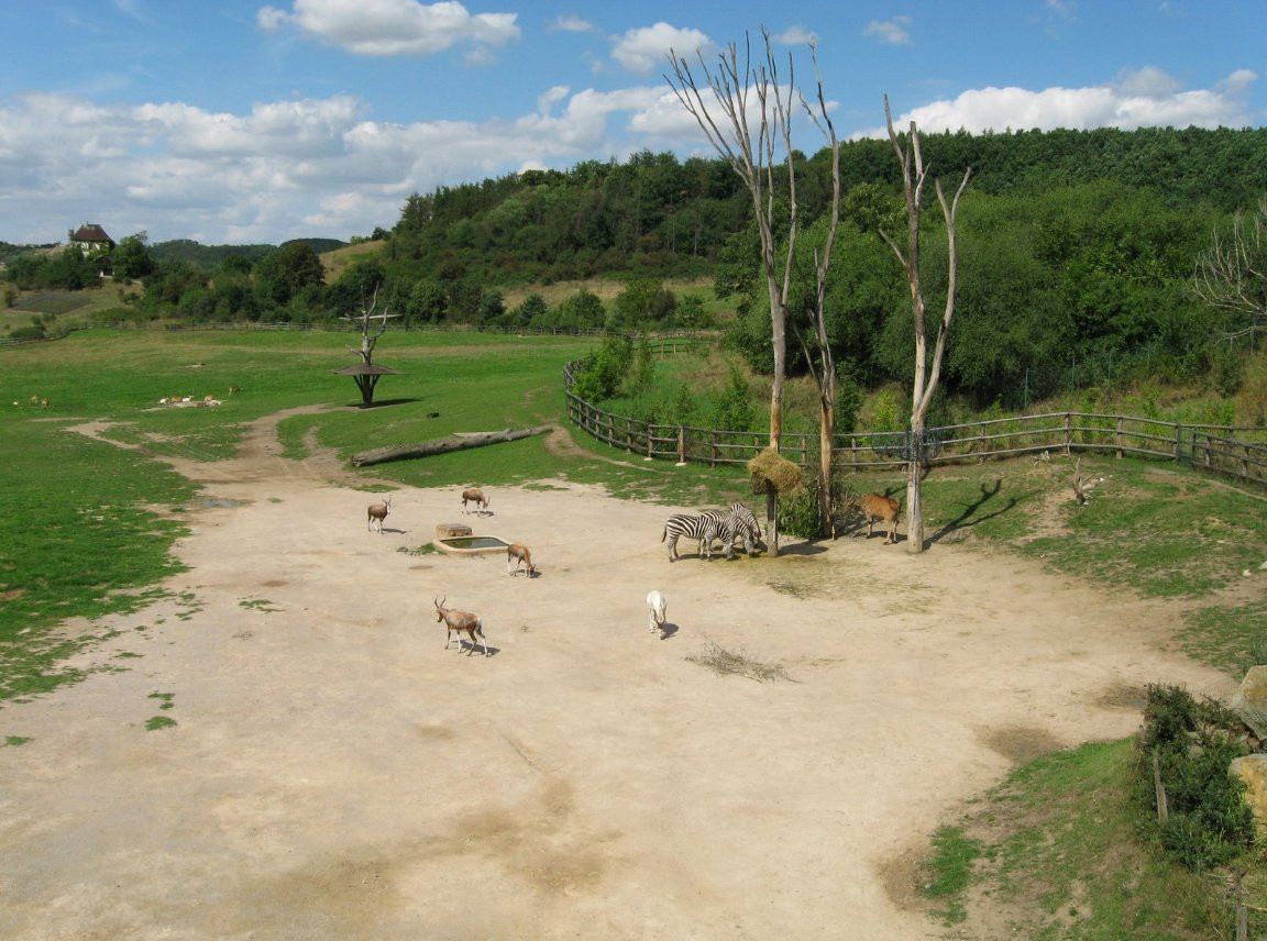Пражский зоопарк – фотографии Чехии