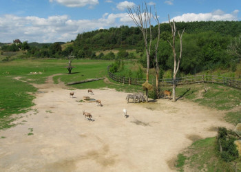Пражский зоопарк – фотографии Чехии