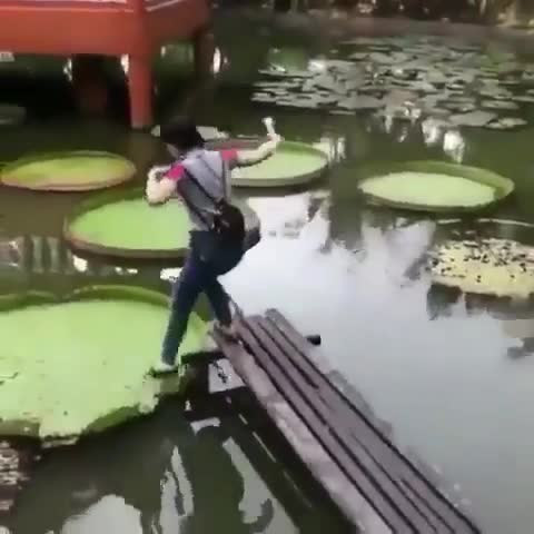 Первая в мире девушка, которая ходит по кувшинкам – видео Китая