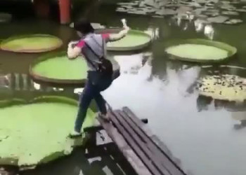 Первая в мире девушка, которая ходит по кувшинкам – видео Китая