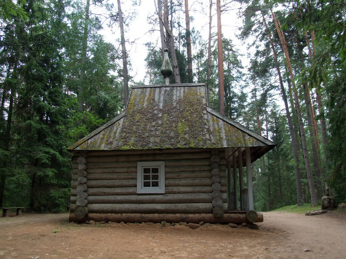 Дом в Пушкинские Горы, Россия – фотографии России