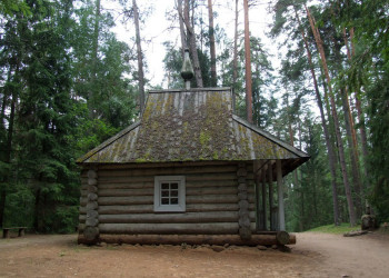 Дом в Пушкинские Горы, Россия – фотографии России