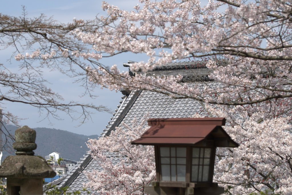 Гифу, Тюбу регион, Япония, фото № 71958 – фотографии Японии