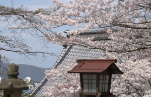 Гифу, Тюбу регион, Япония, фото № 71958 – фотографии Японии