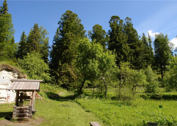 Ботанический сад Соловецкого музея-заповедника. Фото 1 – фотографии России