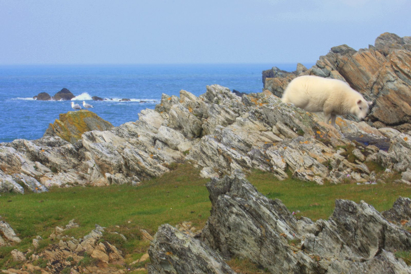 Уэльс, Великобритания, фото № 67891 – фотографии Великобритании