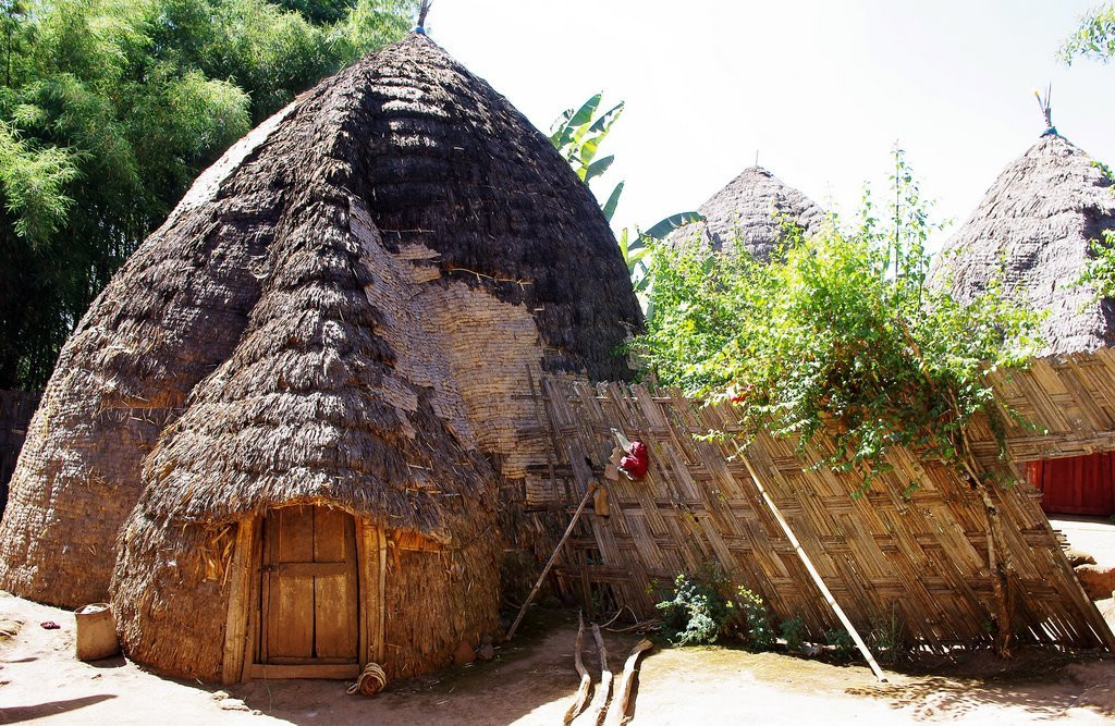 Фазенда – фотографии Эфиопии