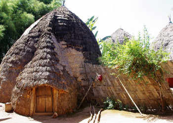 Фазенда – фотографии Эфиопии