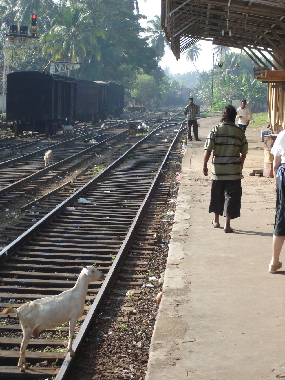 Бентота, Шри-Ланка, фото № 50642 – фотографии Шри-Ланки