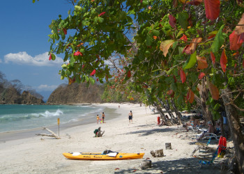 Пунта Леона, Пунтаренас провинция, Коста-Рика, фото № 41016 – фотографии Коста-Рики