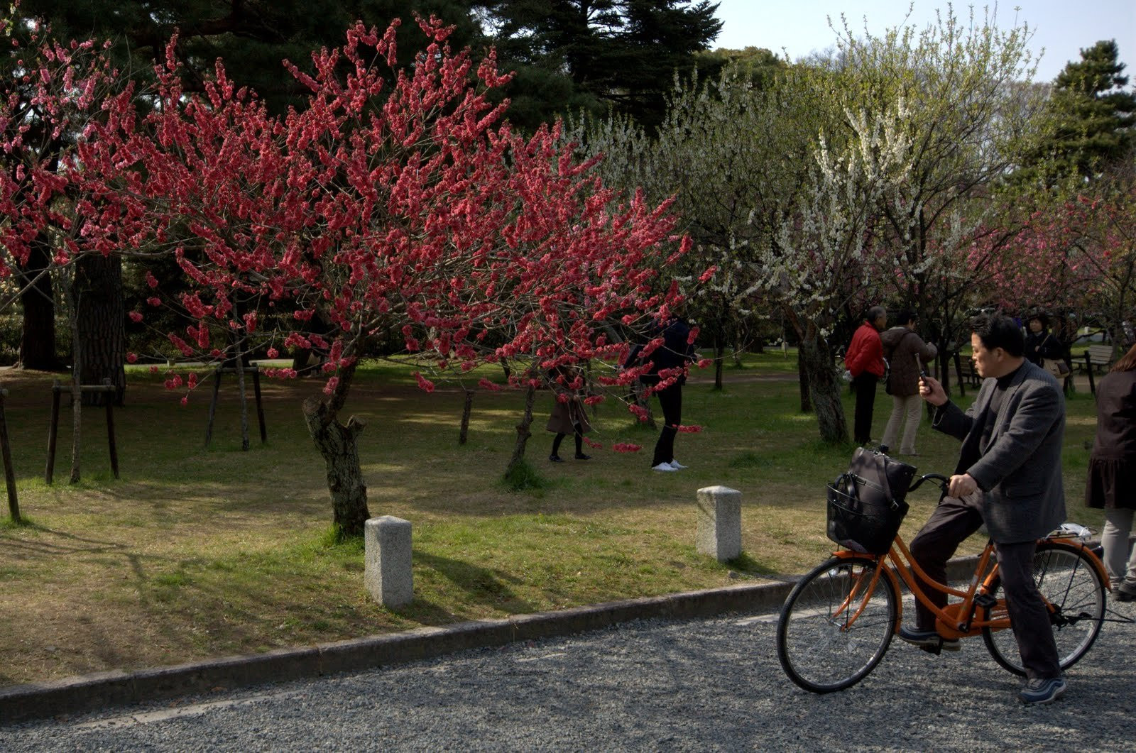 Park Surrounding the Kyoto Imperial Palace – фотографии Японии