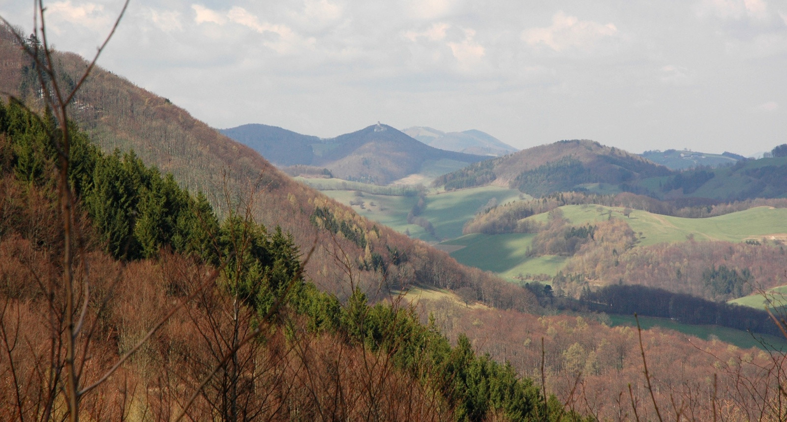 Панорама холмов Венского леса – фотографии Австрии