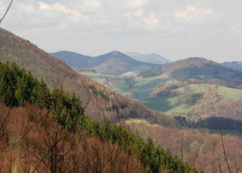 Панорама холмов Венского леса – фотографии Австрии