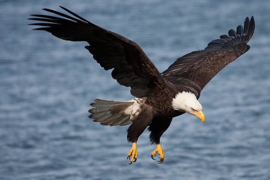 Аляска штат, США, фото № 67715 – фотографии США