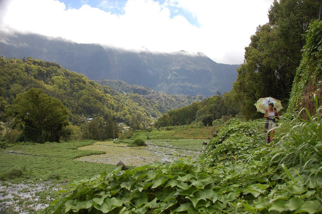 Салази, Реюньон, фото № 25823 – фотографии Реюньона