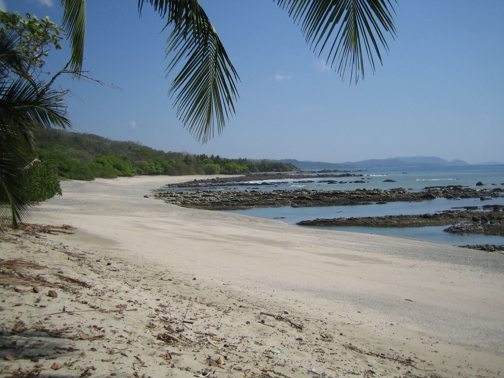 Монтезума, Пунтаренас провинция, Коста-Рика, фото № 40781 – фотографии Коста-Рики