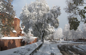 Мальборк 7 – фотографии Польши